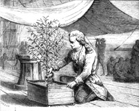 Gabriel de Clieu