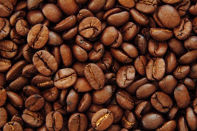 grain de café 