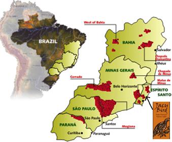 carte bresil