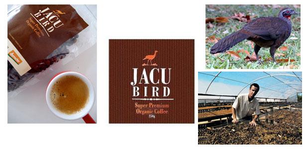 pub café jacu bird